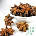 Vente en gros Pure Natural 98% Star Anise